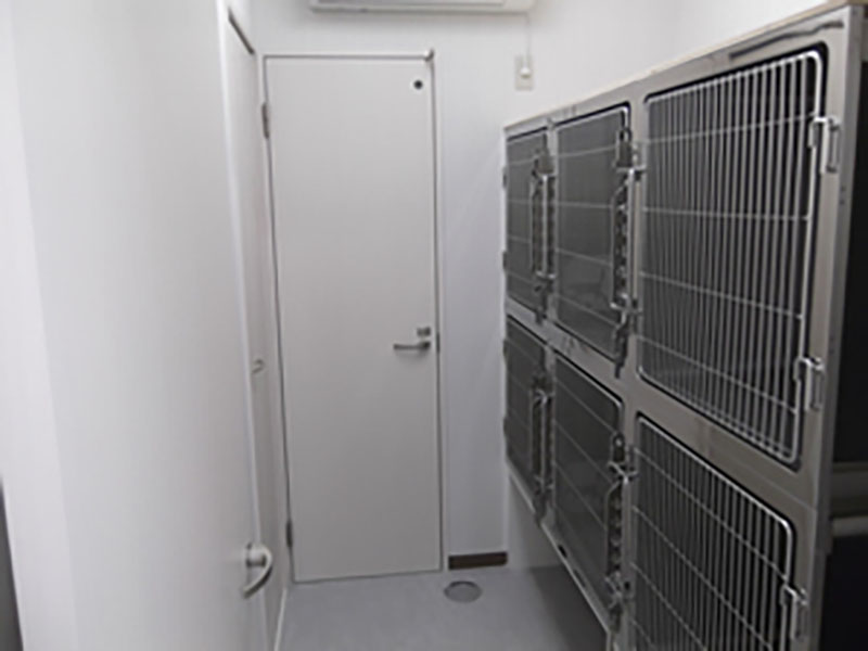 ネコちゃん用入院室