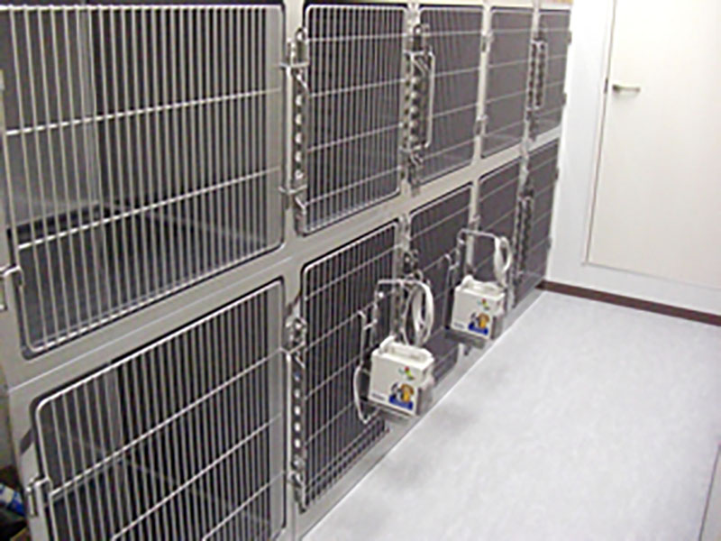 ワンちゃん用入院室