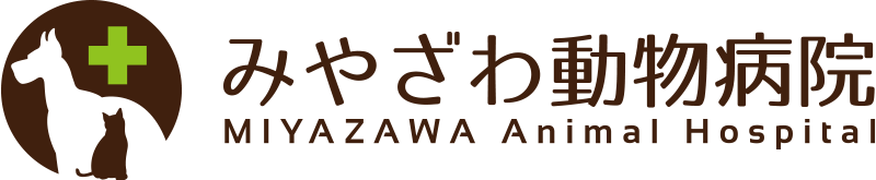 みやざわ動物病院
